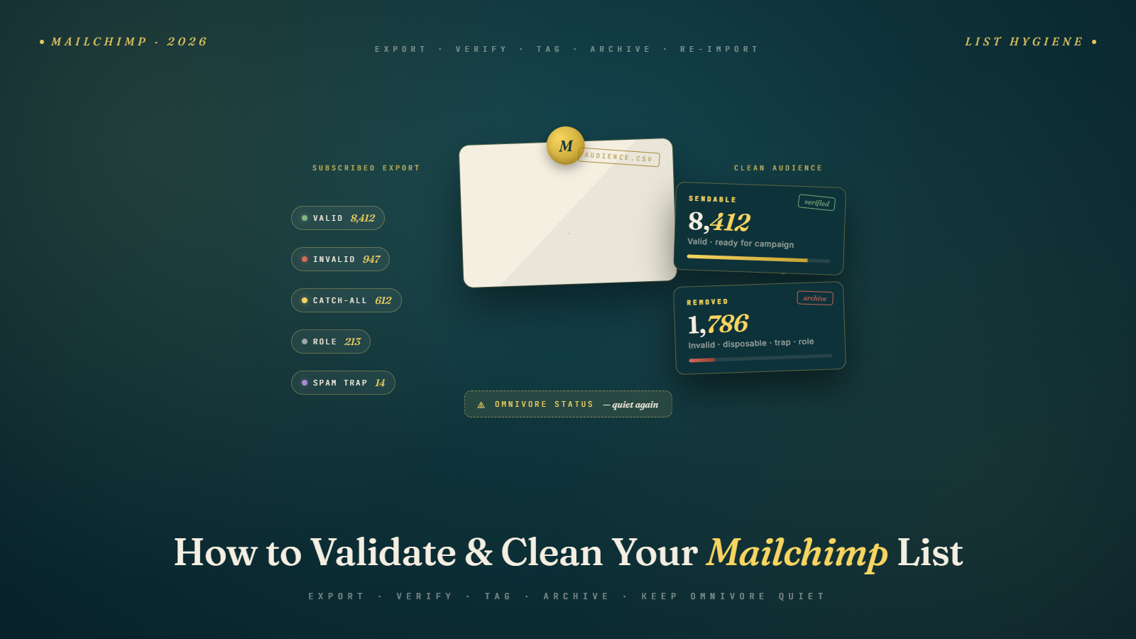 How to Validate and Clean Your Mailchimp List Without Tripping Omnivore